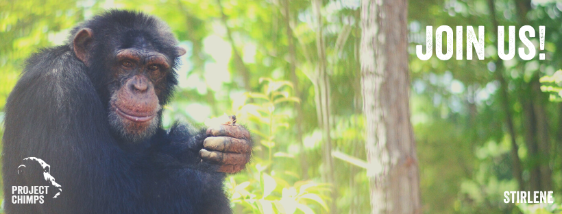 When Do We Go Back An Hour 2023